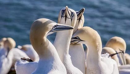 开云网页版-JDG发布新赛季目标：锁定全球总决赛门票，jdg tes总决赛